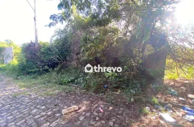 Terreno à venda, 300 m² por r$ 110.000 - gurupi - teresina/piauí