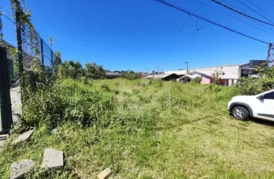 Terreno comercial para alugar na Rodovia RS-020, Planaltina, Gravataí