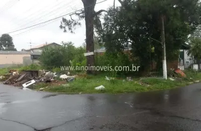 Terreno comercial de 320m² para aluguel em localização estratégica