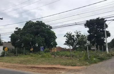 Terreno comercial para alugar na Rua Otávio Schemes, Barnabé, Gravataí