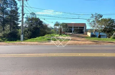 Barracão / Galpão / Depósito à venda na Rodovia RS-030, Morada Gaúcha, Gravataí