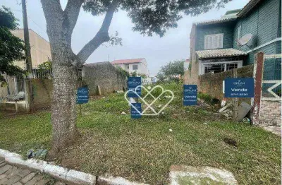 Oportunidade imperdível: terreno espaçoso no bairro dona mercedes!