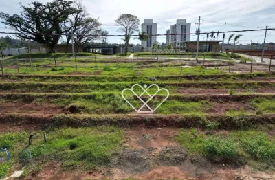 Terreno amplo em condomínio completo - santa cruz, gravataí