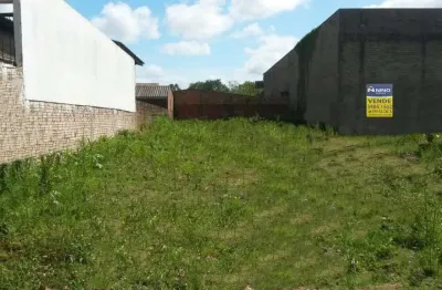 Terreno comercial à venda na Avenida Los Angeles, Vera Cruz, Gravataí