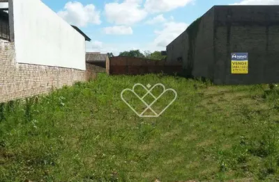 Terreno comercial à venda na Avenida Los Angeles, Vera Cruz, Gravataí