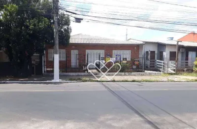 Ampla casa com quintal no bairro salgado filho – ideal para famílias grandes