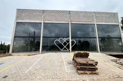 Prédio comercial amplo para aluguel no bairro são vicente: oportunidade imperdível