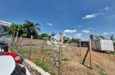 Amplo terreno de 1050m² na cohab c – oportunidade para seu projeto
