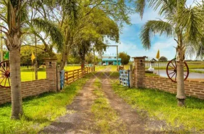Terreno rural com pomar, horta orgânica e área de lazer completa – investimento em tranquilidade