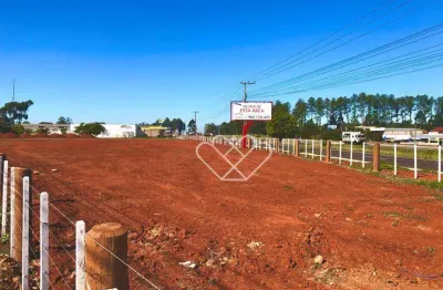 Terreno à venda em frente à Havan em Gravataí — visibilidade e alto potencial para investidores
