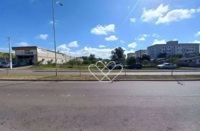 Terreno comercial para alugar na Rua Jorge Amado, Santa Cruz, Gravataí