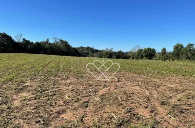 Casa à venda no bairro Parque Itacolomi em Gravataí com 25.000m² de área total