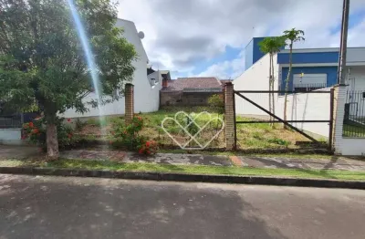 Terreno comercial para alugar na Rua Aldoni Alves Carneiro, Parque da Matriz, Cachoeirinha