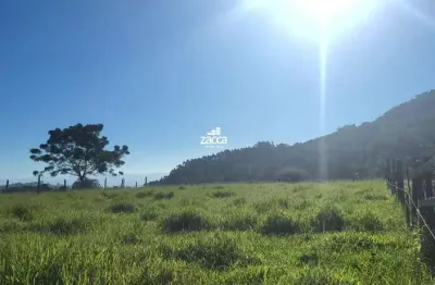 Sítio para venda em santa rosa do sul, glorinha, 2 dormitórios, 1 banheiro