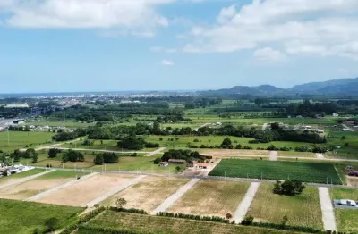 Terreno à venda em Nova Guarita, Sombrio 