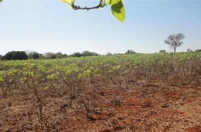Área à venda, 213800 m² por r$ 50.000.000,00 - betel - paulínia/sp