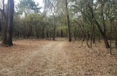 Sítio para venda em presidente bernardes, santo antônio, 1 dormitório, 2 banheiros, 6 vagas