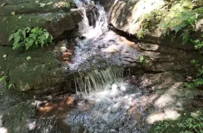 Sítio / chácara para venda em taciba, corrego azul, 3 dormitórios, 2 banheiros
