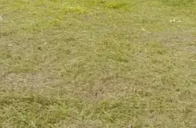 Terreno para venda em presidente prudente, rotta do sol