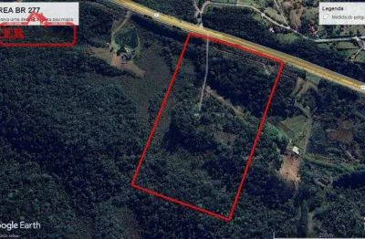 Chácara à venda, 121000 m² por r$ 2.300.000,00 - borda do campo - são josé dos pinhais/pr