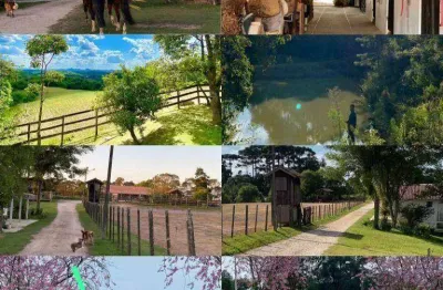 Chácara com 6 dormitórios à venda, 96800 m² por r$ 2.500.000,00 - marmeleiro - almirante tamandaré/pr