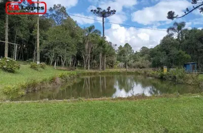 Chácara com 3 dormitórios à venda, 25000 m² por r$ 1.980.000,00 - borda do campo - são josé dos pinhais/pr