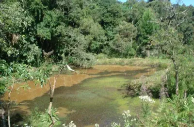 Chácara com 5 dormitórios à venda, 197880 m² por r$ 997.000,00 - campina de quitandinha - quitandinha/pr