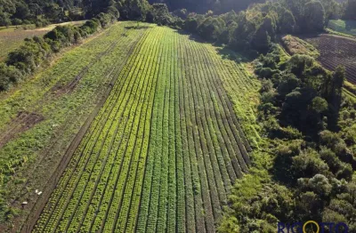 Terreno à venda no são cristóvão (distrito), flores da cunha  por r$ 450.000