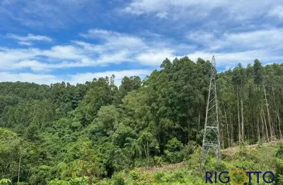 Terreno à venda na nova milano, farroupilha  por r$ 180.000