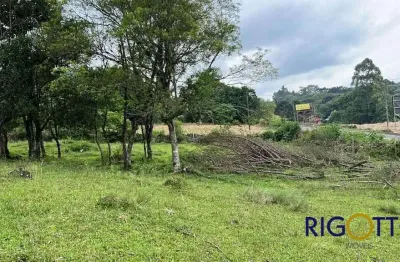 Terreno à venda na zona rural, nova petrópolis  por r$ 2.800.000