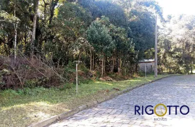 Terreno à venda na bela vista, caxias do sul  por r$ 3.200.000