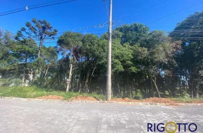 Terreno à venda na nossa senhora do rosário, caxias do sul  por r$ 400.000
