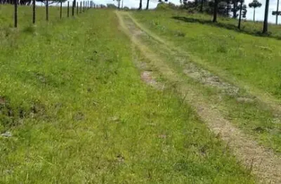 Terreno à venda em criúva, caxias do sul  por r$ 583.000