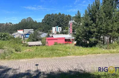 Terreno à venda no Desvio Rizzo, Caxias do Sul 