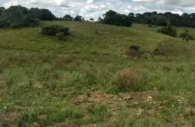 Chácara / sítio à venda na zona rural, são francisco de paula  por r$ 450.000