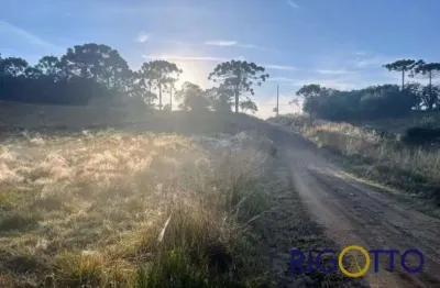 Chácara / sítio à venda na zona rural, são francisco de paula  por r$ 180.000