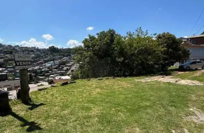 Terreno à venda no Planalto, Caxias do Sul 