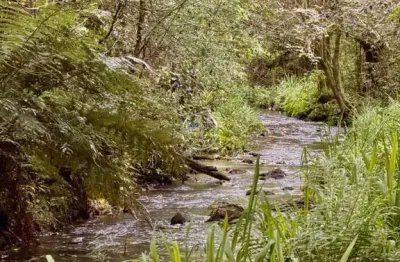 Terreno à venda na Fazenda Souza, Caxias do Sul  por R$ 240.000