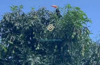 Casa à venda, 2 quartos, 1 suíte, 4 vagas, cinquentenário - belo horizonte/mg