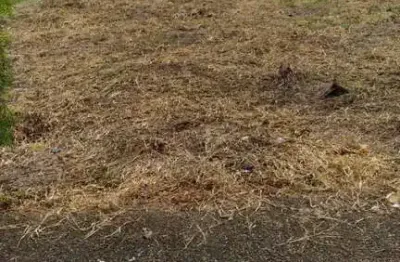 Excelente terreno para venda no residencial jardim pérola ii - itupeva sp