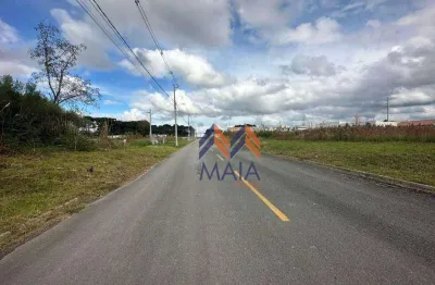Terreno à venda, 360 m² por R$ 290.000,00 - Rio Pequeno - São José dos Pinhais/PR
