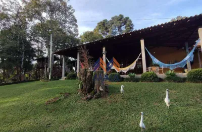 Chácara / sítio com 3 quartos à venda na Rodovia BR-376, Rio de Una, São José dos Pinhais