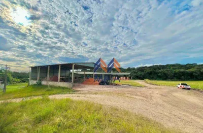 Galpão/Barracão para alugar, 7.000 m² por R$ 30.000/mês - São José dos Pinhais/PR