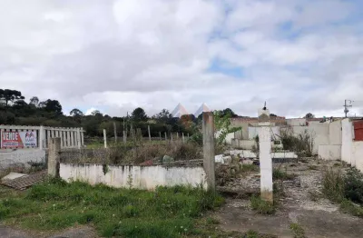 Terreno à venda na Rua Odete Maximiano de Sousa, Borda do Campo, São José dos Pinhais, 390 m2 por R$ 135.900