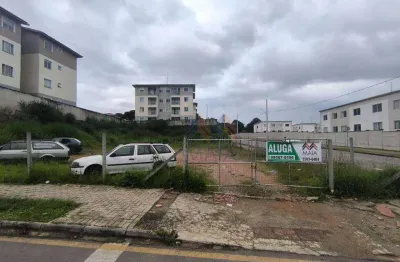 Terreno para alugar, 1000 m² por R$ 4.000/mês - Colônia Rio Grande - São José dos Pinhais/PR