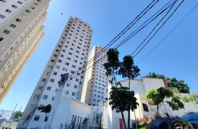 Apartamento novo para locação – 2 dorms |4 min da av. maria luiza americana