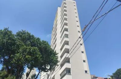 Apartamento 1 dormitório- sacada– vista livre para o parque ceret– anália franco