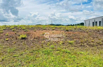 Terreno em condomínio fechado à venda no Reserva Santa Mônica, Itupeva 