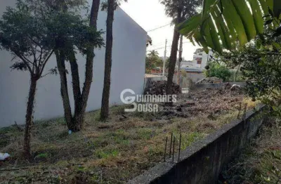 Terreno residencial à venda, jardim novo mundo, jundiaí - te1284.
