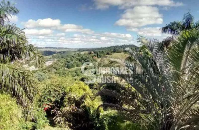 Chácara com 4 dormitórios à venda, 24500 m² por r$ 3.280.000,00 - jardim florido - vinhedo/sp